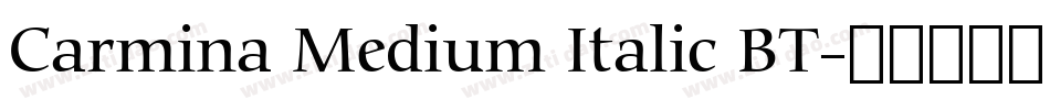 Carmina Medium Italic BT字体转换